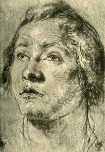 Egy fiatalember feje, 18. század közepe, 1928 alkotó: Giovanni Battista Tiepolo