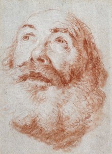 Egy öregember feje felnéz, alkotó: Giovanni Battista Tiepolo