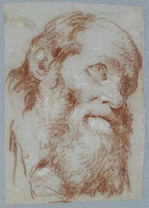 Egy idős, szakállas férfi feje (piros kréta, fehérrel érintve, fakó szürkéskék papíron) alkotó: Giovanni Battista Tiepolo
