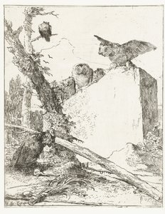A Scherzi di fantasia címnyomata baglyokkal kő közelében Scherzi di fantasia (sorozat címe) alkotó: Giovanni Battista Tiepolo