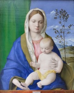 Madonna és gyermeke, 1500 körül (olaj, tábla) alkotó: Giovanni Bellini