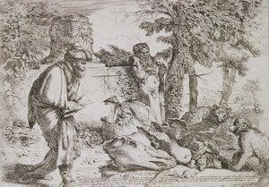 Diogenész becsületes embert keres (rézkarc) alkotó: Giovanni Benedetto Castiglione