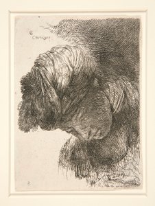 Lehajtott fejű figura a Small Studies of Heads sorozatból alkotó: Giovanni Benedetto Castiglione