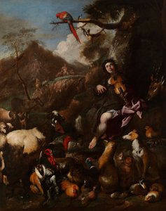 Orfeusz énekel az állatoknak alkotó: Giovanni Benedetto Castiglione