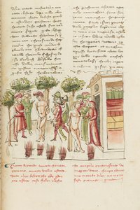 Dekameron, Az ifjú fogoly - Restituta Bolgaro és Giari di Procida a pellengéren , Ötödik nap, novella 6. alkotó: Giovanni Boccaccio