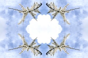 Természetellenes 115 (digitálisan manipulált fotó)