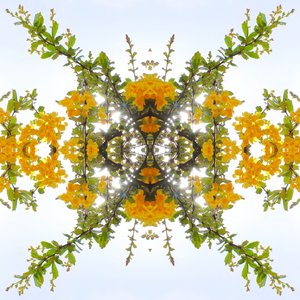 Természetellenes 175 (digitálisan manipulált fotó)