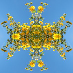 Természetellenes 193 (digitálisan manipulált fotó) alkotó: Giovanni Cafagna