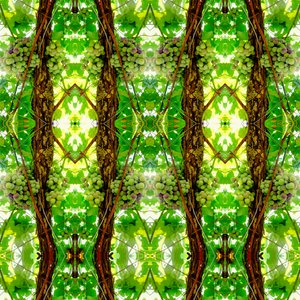 Unnatural 74 (digitálisan manipulált fotó)
