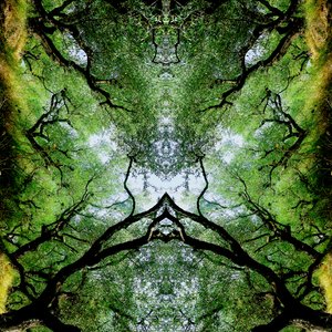 Unnatural 75 (digitálisan manipulált fotó)