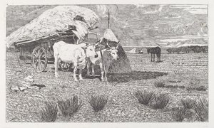 Szekér elé fogott ökrök (Maremma) alkotó: Giovanni Fattori