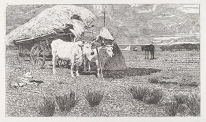 Ökrök a szekérre (Maremma) [Bovi al carro (Maremma)] alkotó: Giovanni Fattori