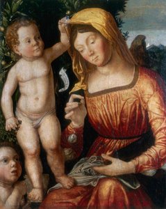 Madonna varrónő
