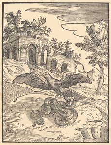Madár és kígyó, 1570. alkotó: Giovanni Maria Verdizotti