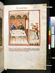 Ububchasym de Baldach Theatrum sanitatis: "Furmentum Elixum", a 14. század első évtizede (miniatúra)