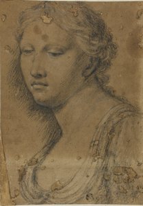 Nő mellszobra alkotó: Girolamo da Carpi
