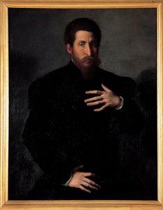 Egy férfias férfi portréja alkotó: Girolamo da Carpi
