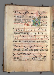 Fokozatos alkotó: Girolamo dai Libri