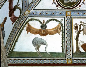 A Camera con Fregio di Amorini Ámor fríz kamrája egy strucc részlete, 1520-as évek freskója alkotó: Giulio Romano
