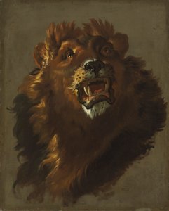 Oroszlán, 1750-es évek.