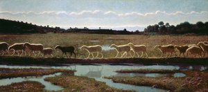 Az élet tükre: amit az Első tesz, azt a többiek követik, 1895-98