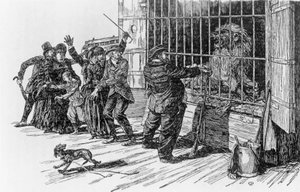 Tatarin és az oroszlánketrec, illusztráció a Tartarin az Alpokban című könyvéhez, Alphonse Daudet Milan alkotó: Giuseppe Porcheddu