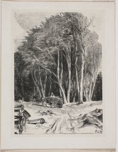 Fakitermelés alkotó: Godfred Christensen