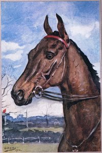 Hogyan győztük le a kedvencet, Adam Lindsay Gordon verseiből, T. N. Foulis kiadásában, 1912 alkotó: Godfrey Douglas Giles
