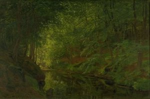 Egy patak Sæbygaard Woodban, Vendsyssel, Jütland