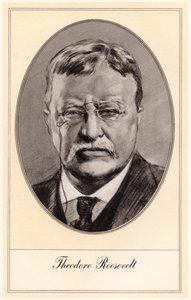 Theodore Roosevelt, az Egyesült Államok 26. elnöke, a XX. század eleje.