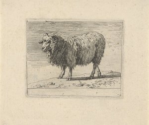 Ram Különféle állatok (sorozat címe) alkotó: Govert van der Leeuw