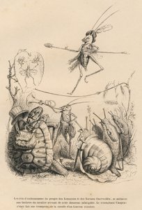 Sáska trombitán játszik egy teknős, csiga és meztelen csigák előtt. Fölötte egy másik kiegyensúlyozott sáska sétál egy dróton. A matricákat JJ Granville illusztrálta. Godard által aláírt metszet a „Egy pillangó kalandjai” című részben alkotó: Grandville