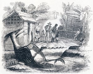 A madár egy nyíl által fáj - La Fontaine meséi alkotó: Grandville