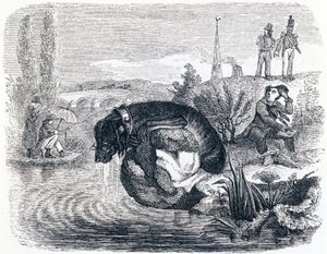 A kutya, aki feladja zsákmányát az árnyékért - Fables by La Fontaine alkotó: Grandville