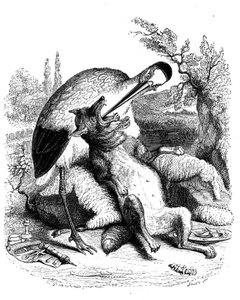 A farkas és a gólya: Grandville által illusztrált La Fontaine-mese. Edition Garnier 1860. A gólya orvosként van ábrázolva (rosszul jutalmazzák a dévajságáért!).