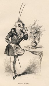 Egy öreg pillangó nézi az időt a szemüvegével. A miniatűröket JJ Granville illusztrálta. Breviere-vel írt metszet a "Egy pillangó kalandjai" című részben, amelyet PJ Stahl írt a "Jelenetek az állatok magán- és közéletéből". Paris, J. alkotó: Grandville