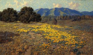 Kaliforniai pipacsok alkotó: Granville Redmond