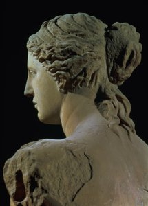 Venus de Milo, részlet a fej hátuljáról, hellenisztikus időszak, Kr.e. 100 körül márvány elölnézethez lásd 14152