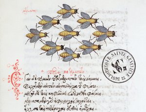Ms 3402 Bees, Manuel Philes bestiáriumából, 1566 alkotó: Greek School