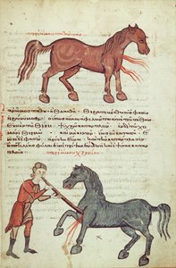 Ms Grec 2244 fol.4 Operáció lovon alkotó: Greek School