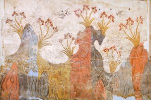 Liliom vagy tavasz szoba, Akrotiri freskó, Thera (ma Santorini), Görögország, Minószi civilizáció