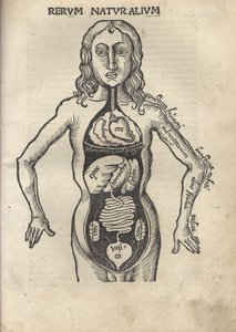 Margarita Filozófiai Anatómia, 1504