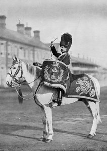 Plum Duff, a Royal Scots Greys doblova, 1896