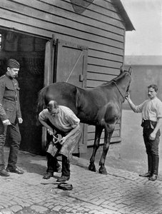 A Királyi Lóőrség patkoló-őrnagya, 1896.