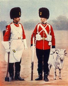 „The Royal Welsh Fusiliers”, 1901.