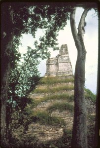 A feliratok temploma, Kr. u. 700 körül alkotó: Guatemalan School