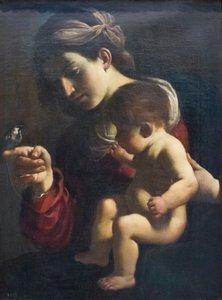 A veréb Madonnája