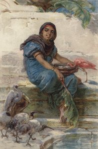 A szent madarak etetése (színes litó)