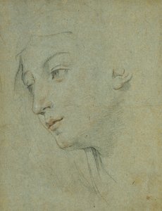 Egy nő feje, aki balra néz, alkotó: Guido Reni