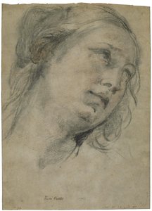 Egy fiatal nő feje felfelé néz alkotó: Guido Reni